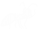 Critical Bug