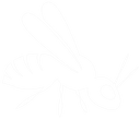 High Bug
