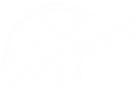 Low Bug